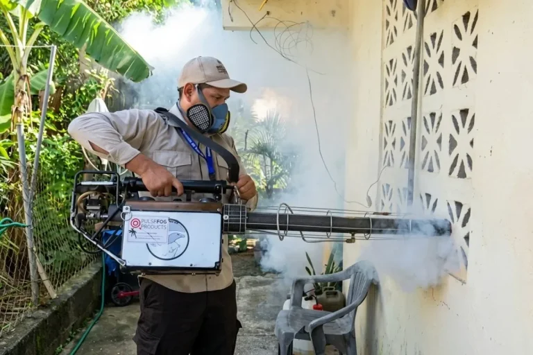dengue outbreak panama fumigation