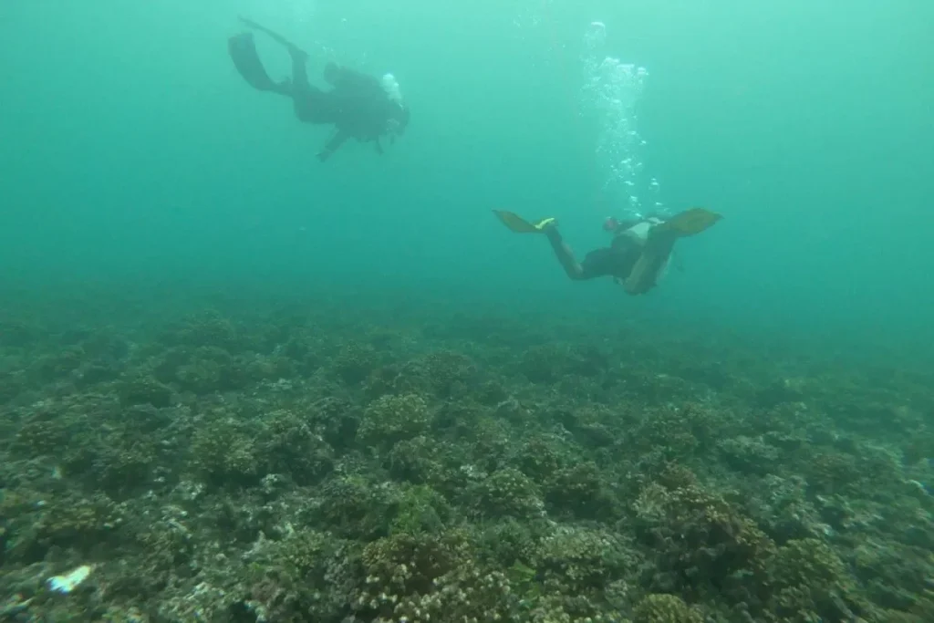 Divers in Gulf of Chiriquí National Marine Park Credit MiAmbiente