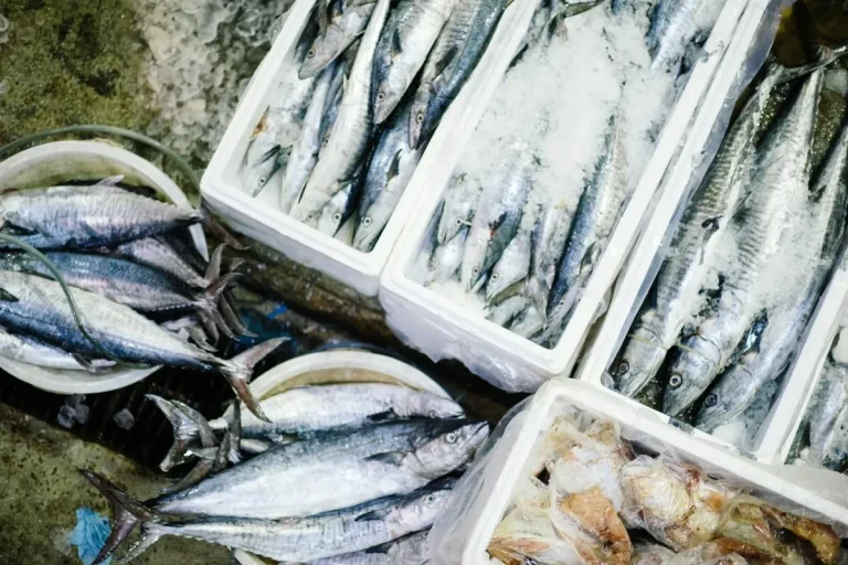 fish for sale