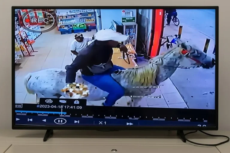 horseback robbery Anton