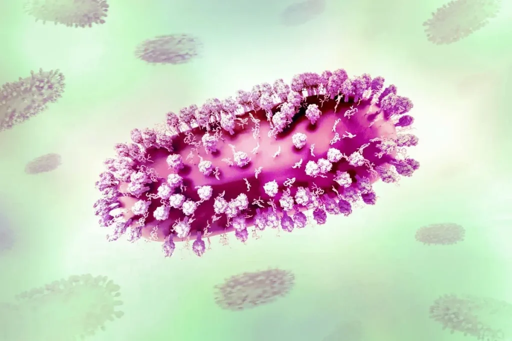 Human Respiratory Syncytial Virus (RSV) 52870647004