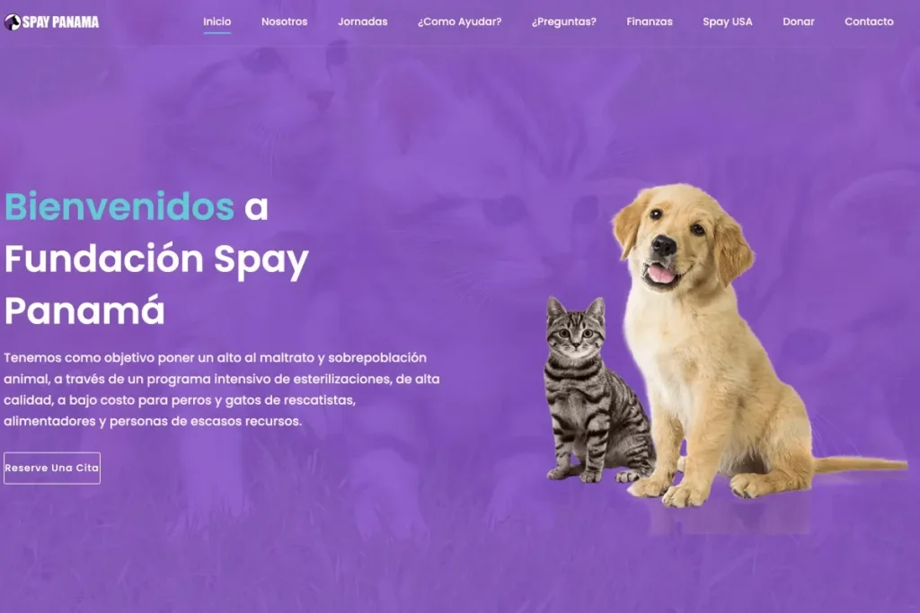 Spay Panama Website