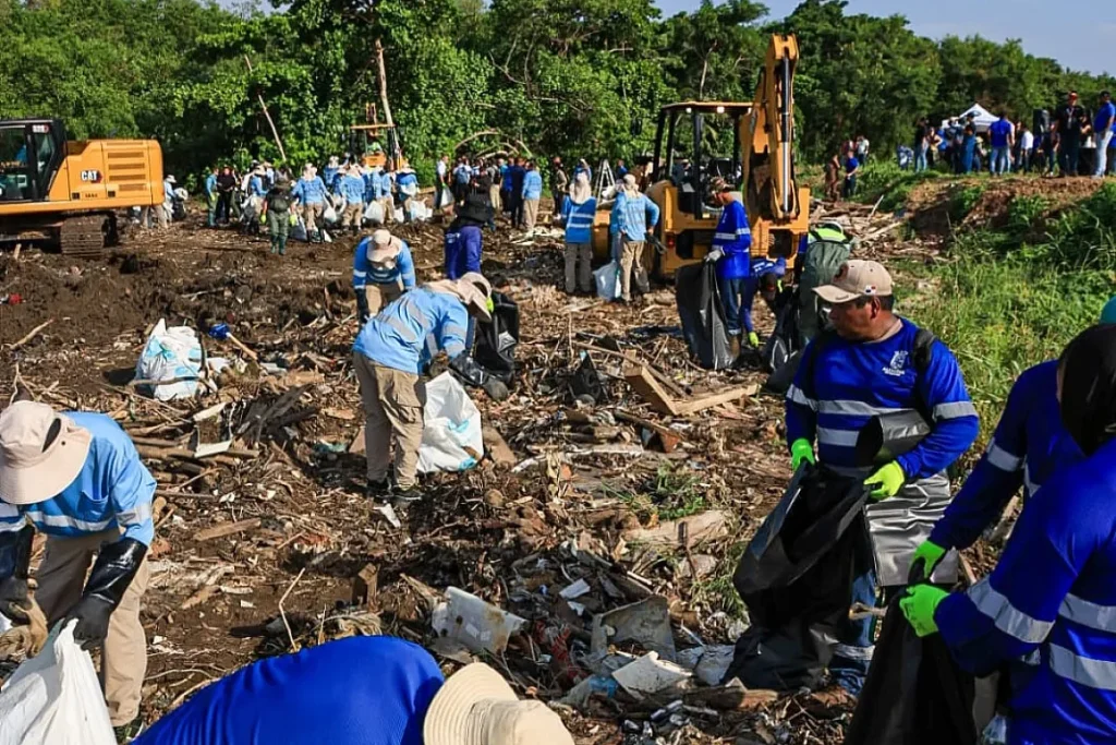 Workers, Excavators Panama City Hall begins recovery of panama bay, rivers, beaches and mangroves Credit Alcaldia