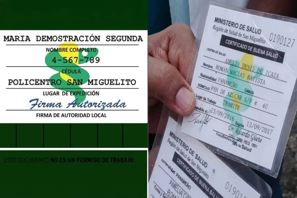 Carnet de Salud by Minsa