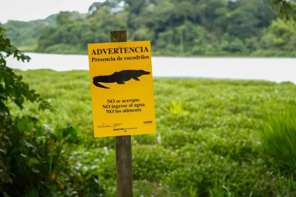 Cocodrilos Mi Ambiente