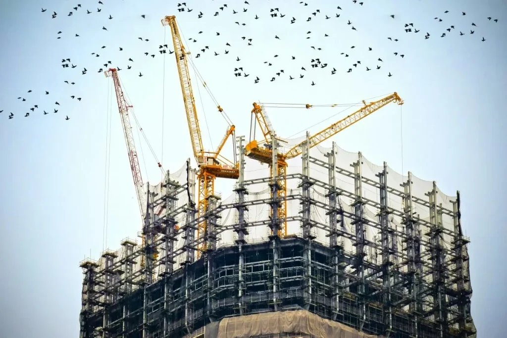construction with birds above