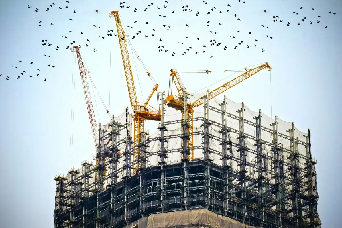 construction with birds above