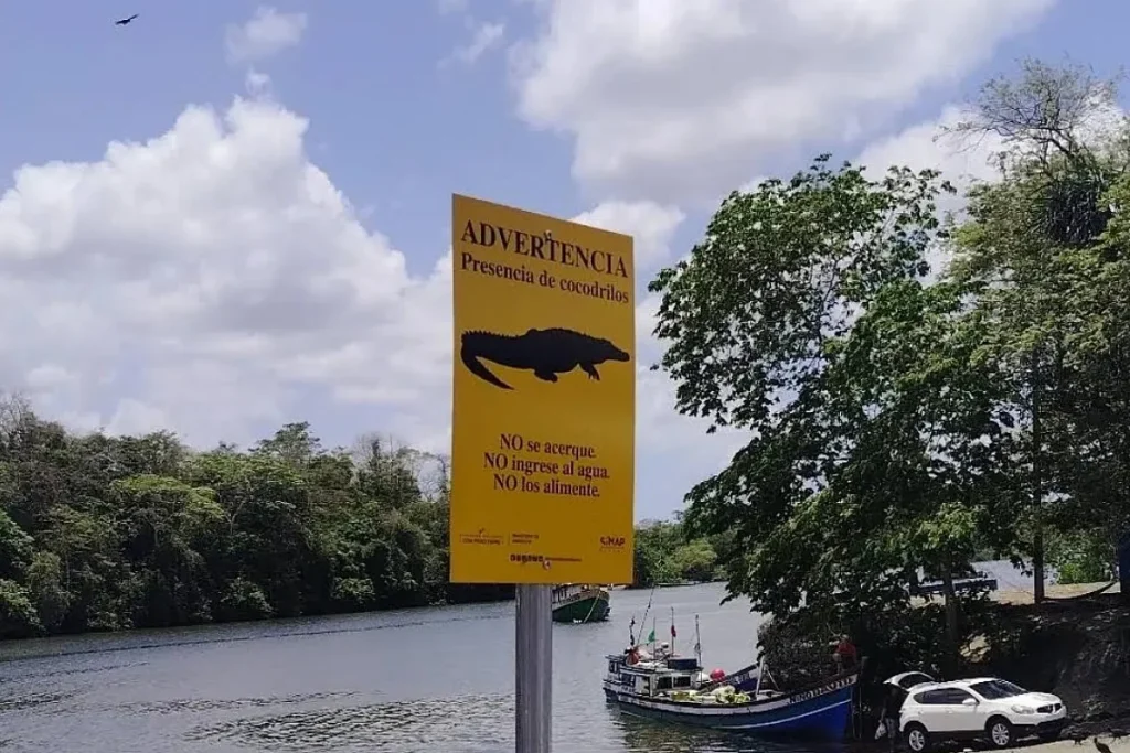 Crocodile Warning at Puerto de Coquira Chepo