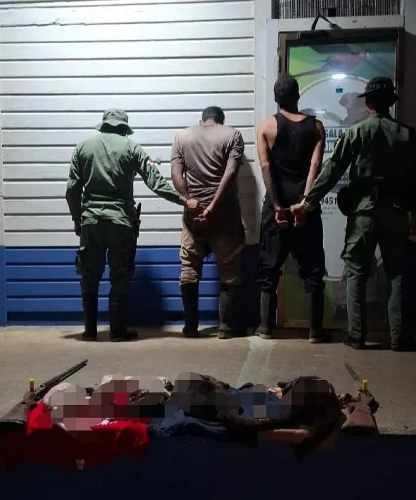 Operation in Soberanía National Park halts illegal hunting and leads to the arrest of offenders with hunted animals Credit MiAmbiente