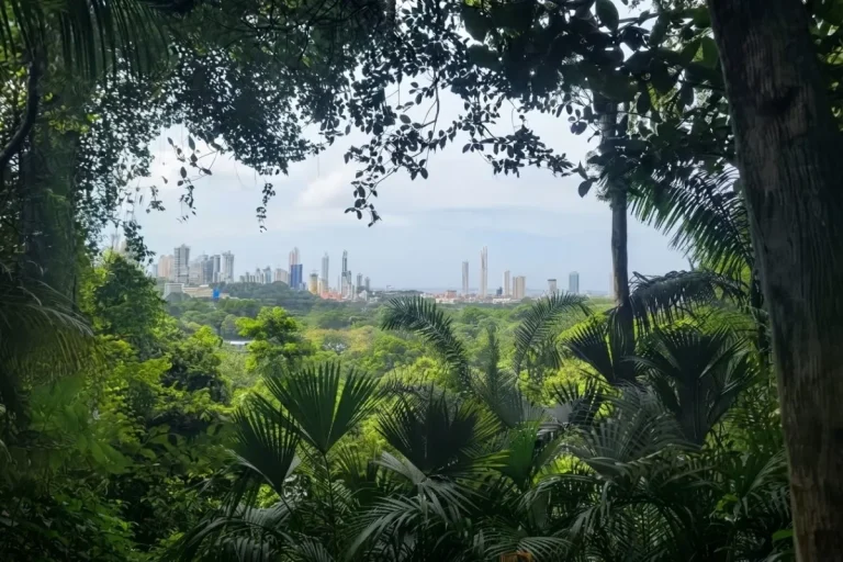 Panama City view from Metropolitan Natural Park. By ColeyN.