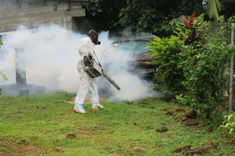 Dengue Decline is a reality