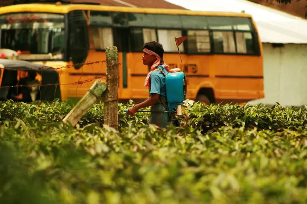 Spraying pesticide By Akarsh Simha from Austin, Texas, USA - Spraying pesticide, CC BY-SA 2.0, https://commons.wikimedia.org/w/index.php?curid=148678958