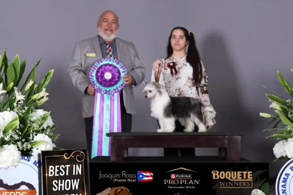 winners junior dog handlers 2026