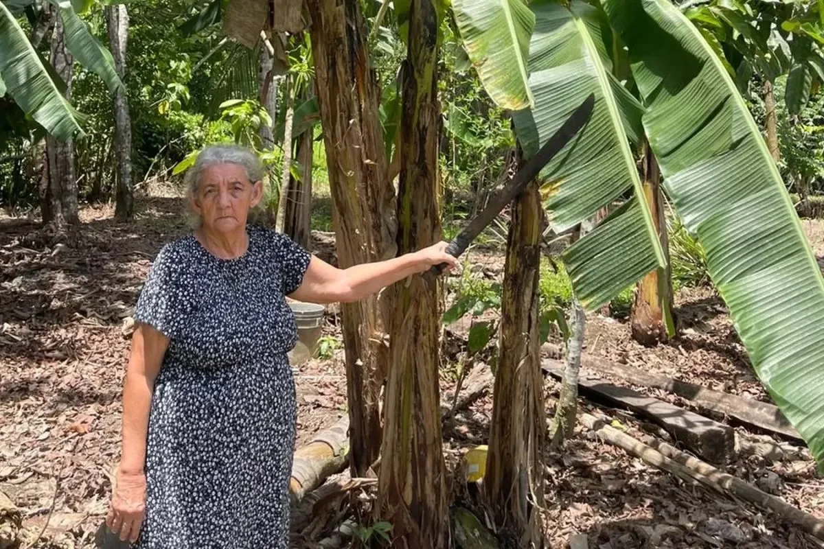 74-Year-Old Idalides Calderón. By FAO UN.
