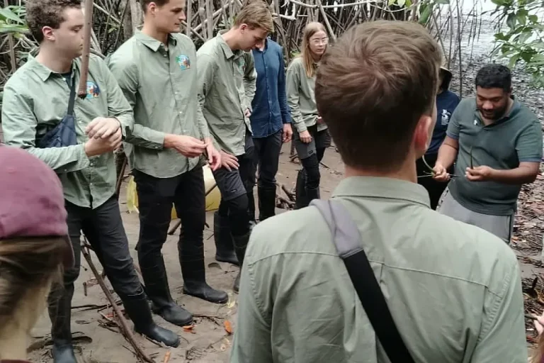 Dutch Students in Mangrove Conservation Effort