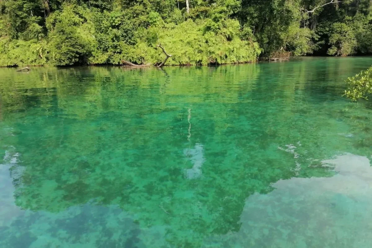 Escudo de Veraguas Island by MiAmbiente.