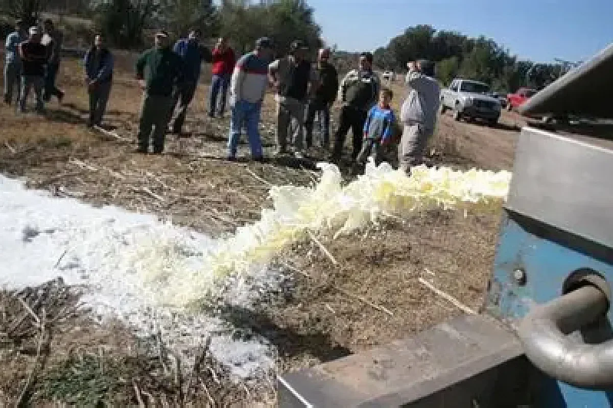35,000 Liters of Milk Lost, No Shrimp! The Earthquake Took Everything Milk Lost