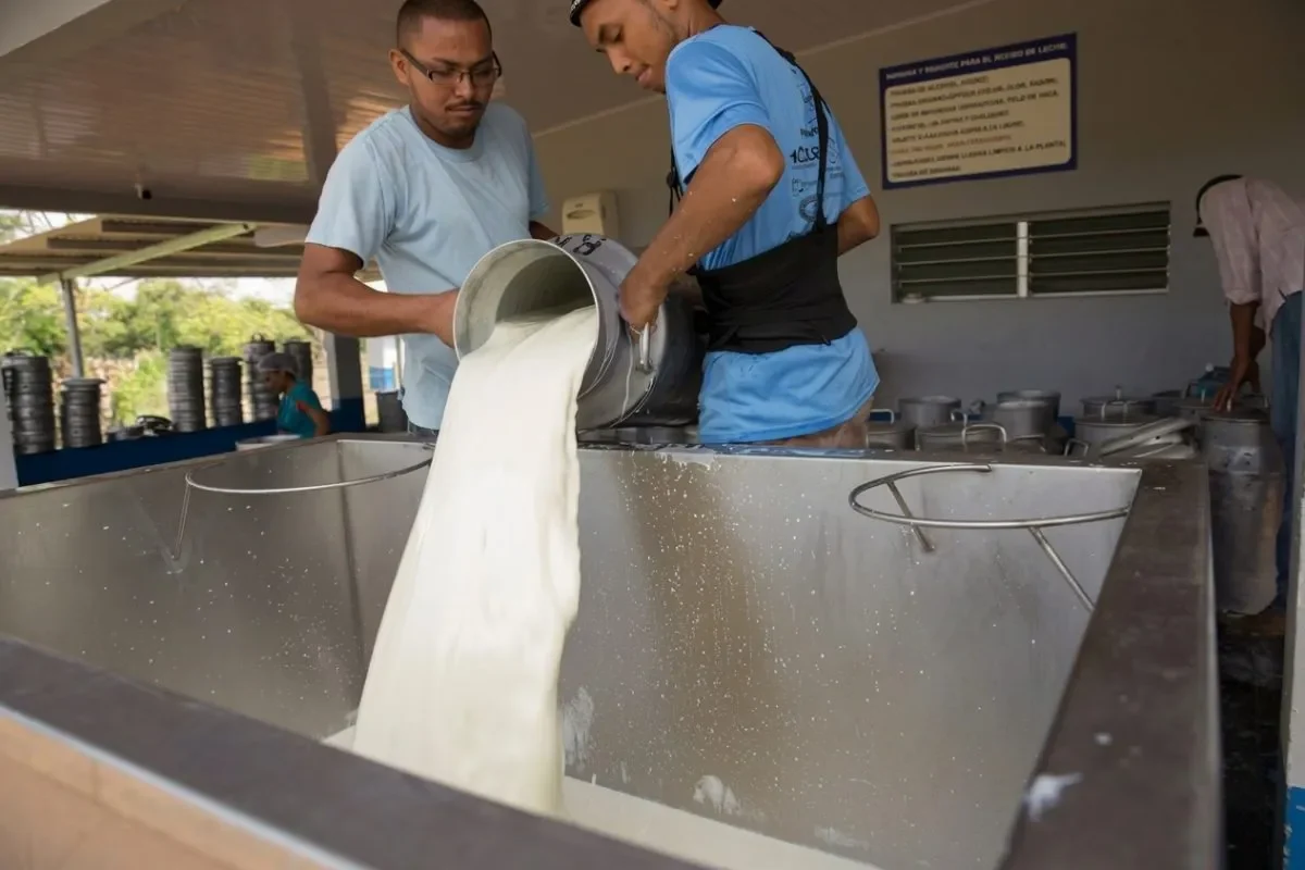 Milk production in Panama By Mida