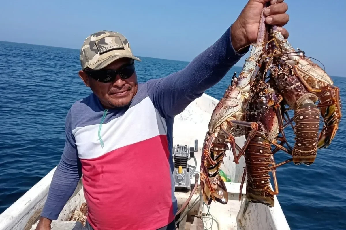 Artisanal fisher with Lobster by Poresto.