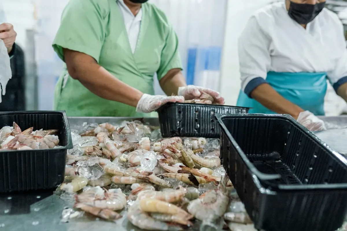 Shrimp Industry Panama by Cepal