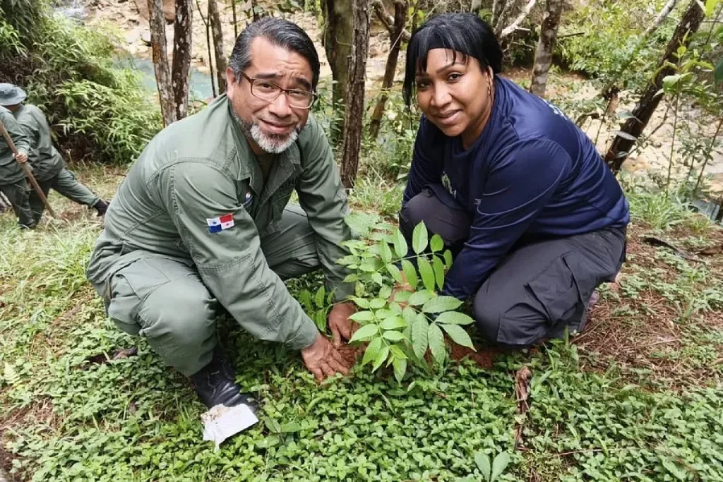 Trees Planted on Chagres by MiAmbiente Panama