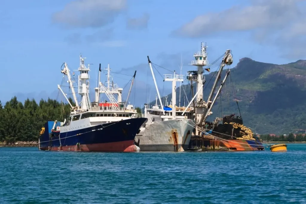 tuna vessels cargo ss 2234935367 scaled